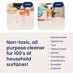 EveryDay Cleaner B&A.webp