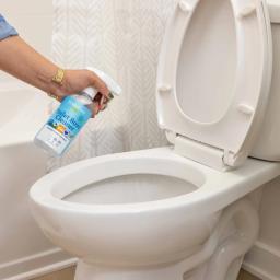 Truly Free Home Toilet Bowl Cleaner: spray on toilet surfaces, scrub, and flush.